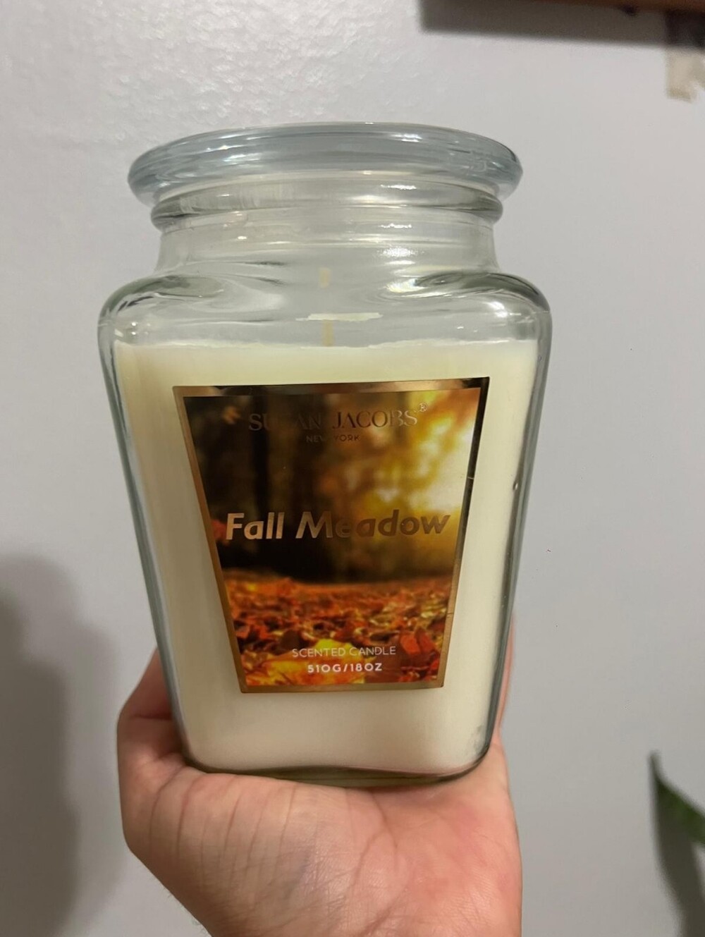 Susan Jacobs New York "Fall Meadow" Scented Candle - Large Jar 18 oz (510g